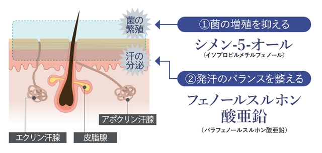 デオドラントクリームの主要成分とその働き Deo Care